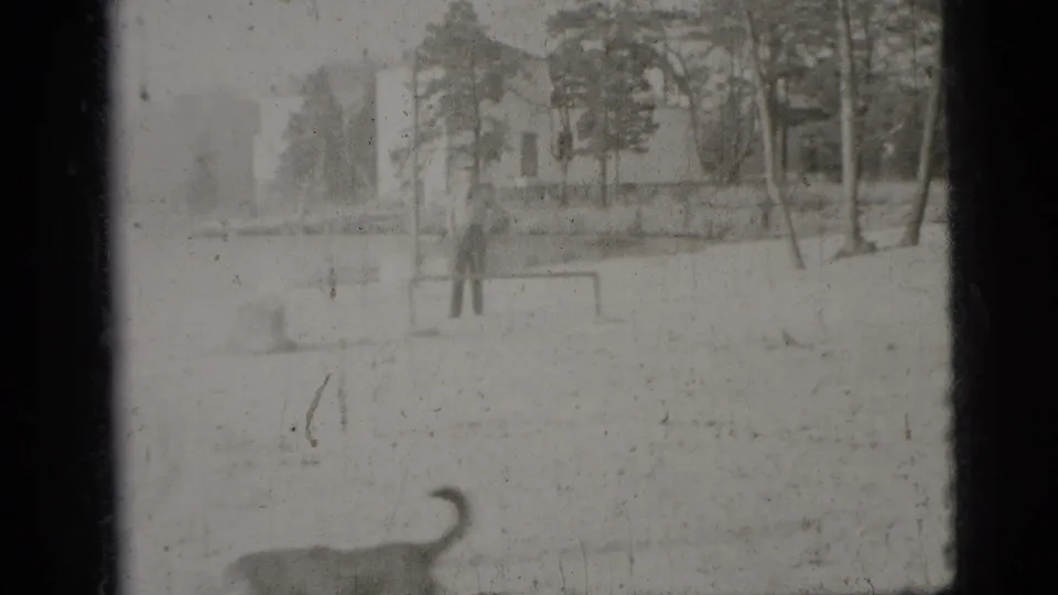 1956 New York City home-movie frame with a dog moving across the foreground and a man near a goalpost in the distance.