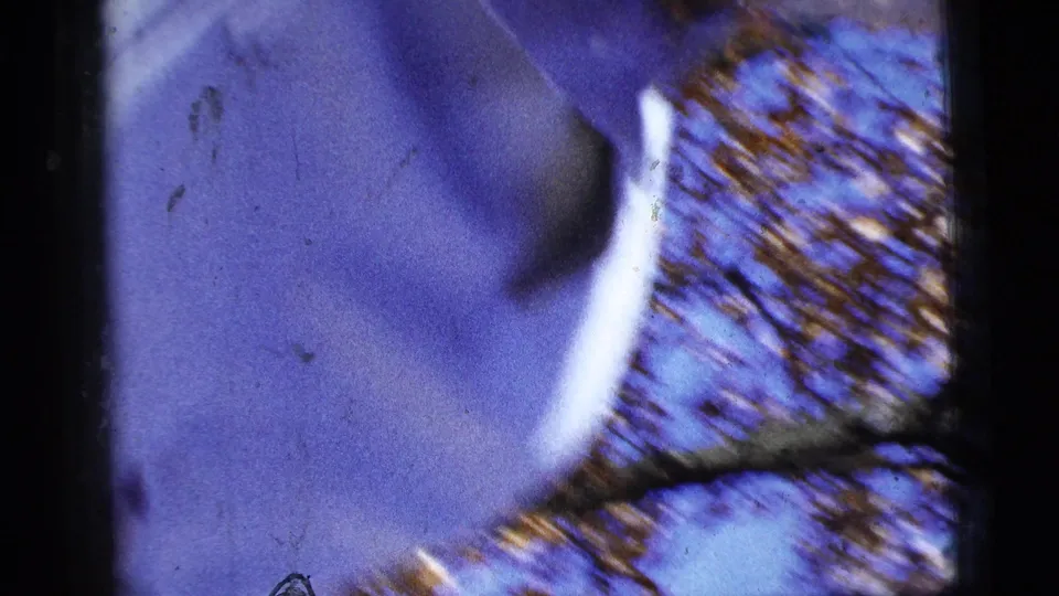 Final blurred 8mm frame from the 1956 running clip, showing saturated purple-blue motion, warm leaf-like streaks, and film wear.