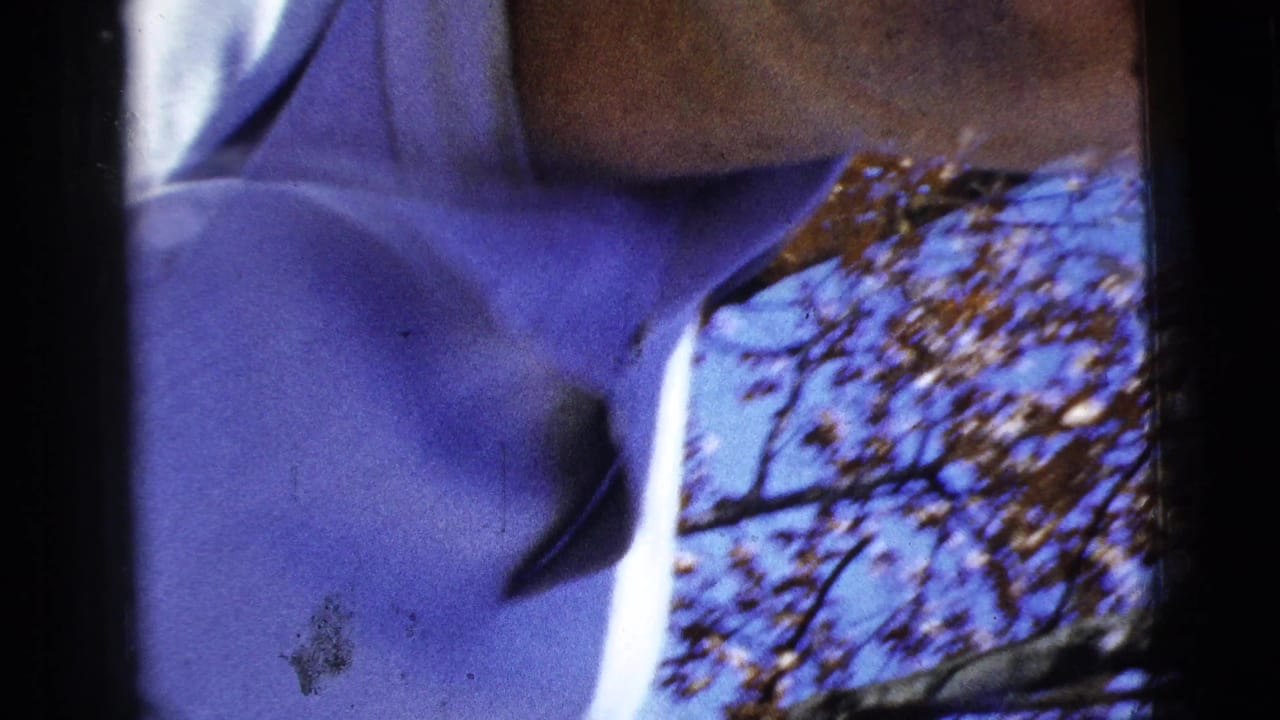Soft, handheld 8mm frame from the 1956 New York City area showing a partial figure in light blue clothing against trees and sky.