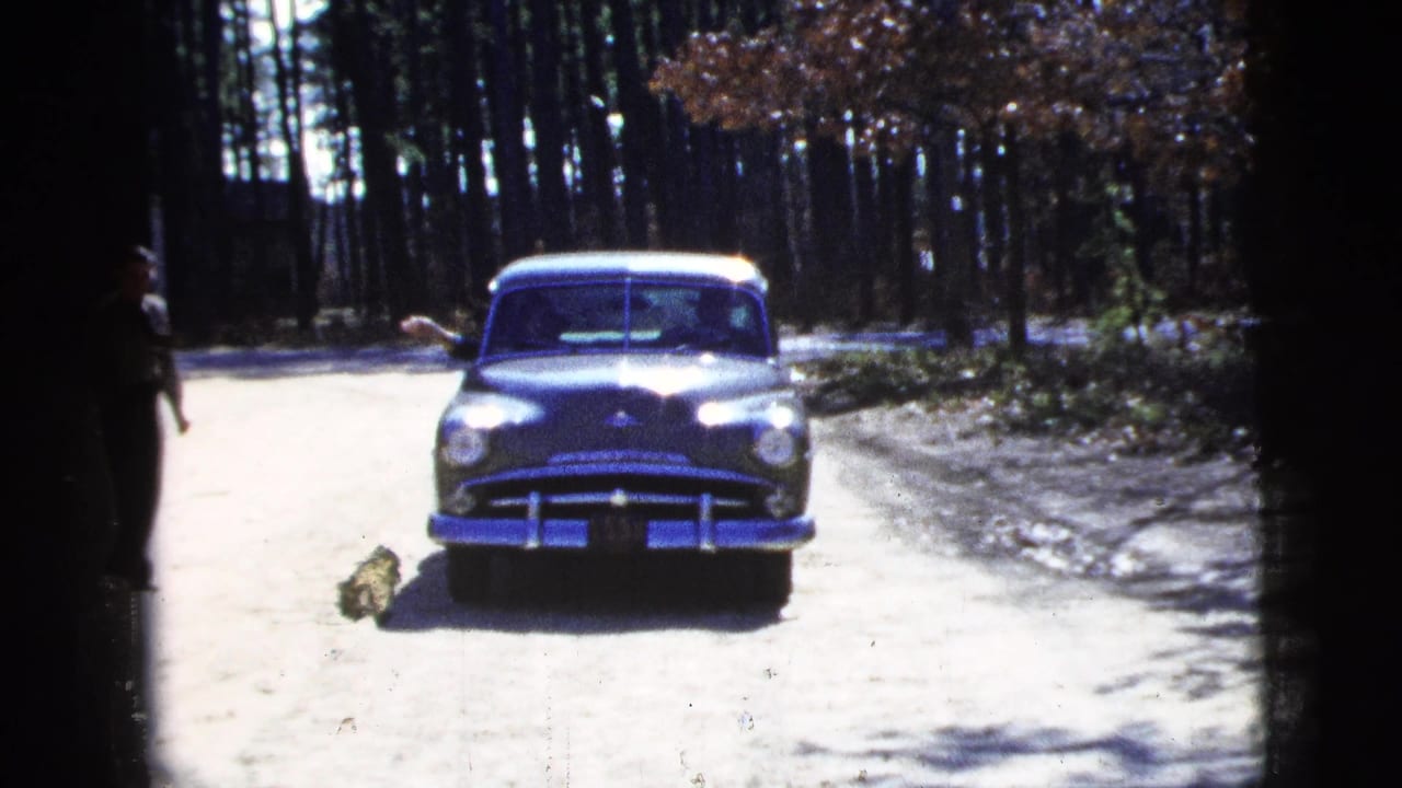 Dark 1950s sedan facing the camera on a sunlit dirt road bordered by pine trees.