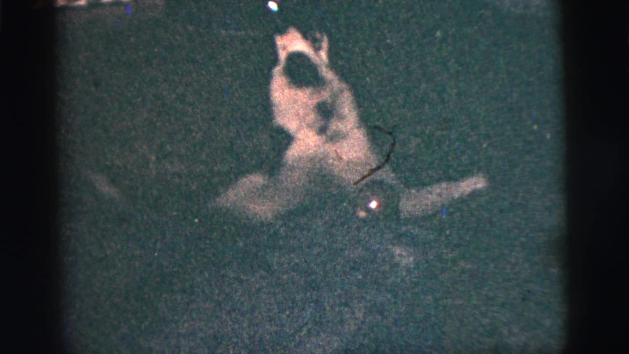 Small dog in a dark, grainy frame with people barely visible nearby.