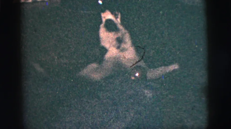 In 1956 New York City 8mm footage, a small dog appears in dim light while shadowed people are partly visible around it.