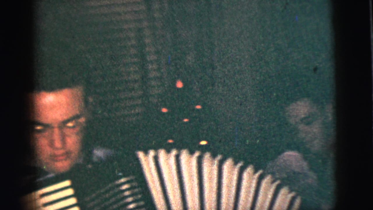 Man plays an accordion while guests sit nearby in a dark room.
