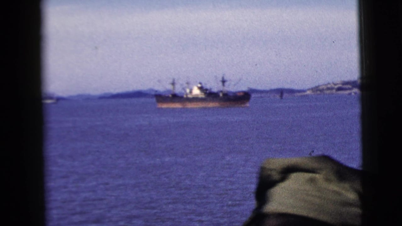 Large ship sits on blue water beyond a dark window bar and foreground hat edge.