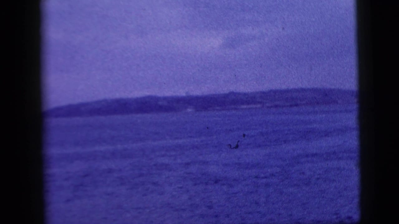 Blue-tinted harbor water with a distant low shoreline under an overcast sky.