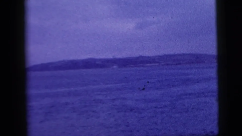 1958 8mm New York City harbor view from a boat, showing open water and a distant low shoreline through aged blue-purple film color.