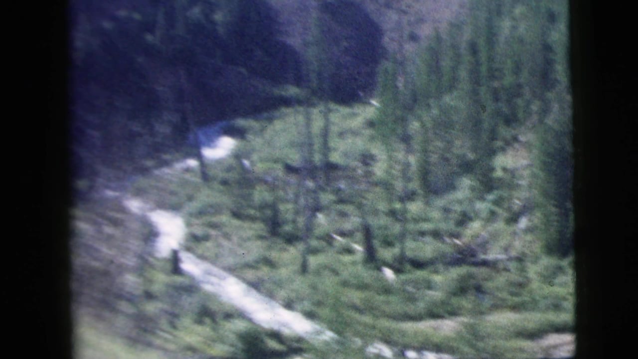1958 8mm frame of evergreen forest and a light-colored stream viewed from a moving train window.