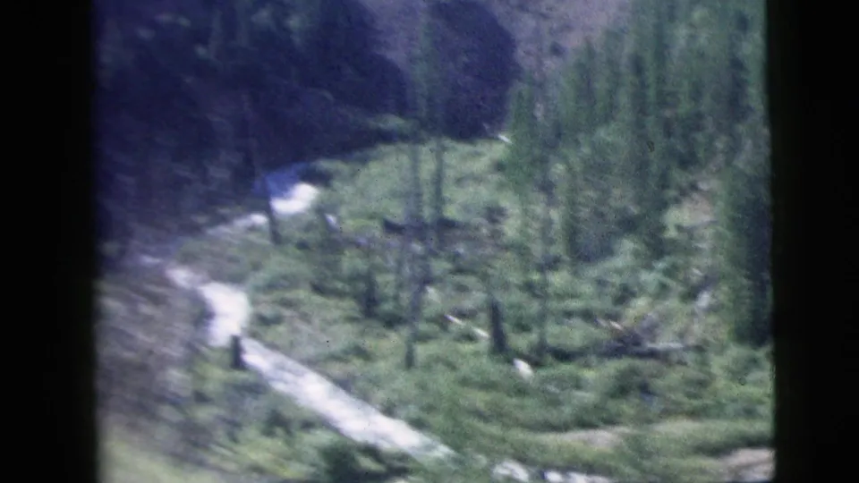 1958 8mm frame of evergreen forest and a light-colored stream viewed from a moving train window.