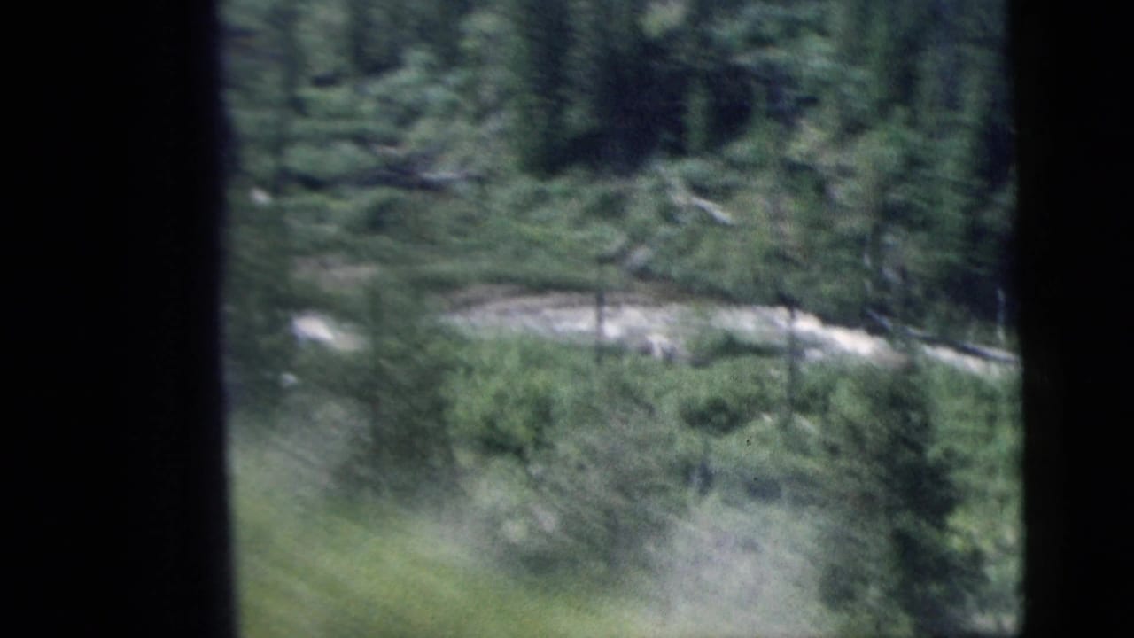 Evergreen forest and brushy hillside viewed past a dark window divider.