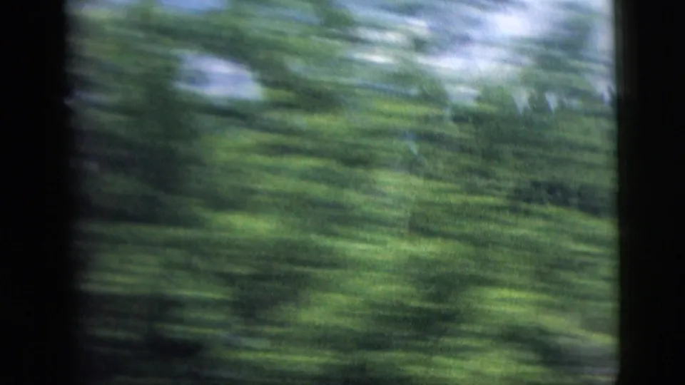 Motion-blurred 8mm frame of dense green roadside vegetation passing close to the moving vehicle.