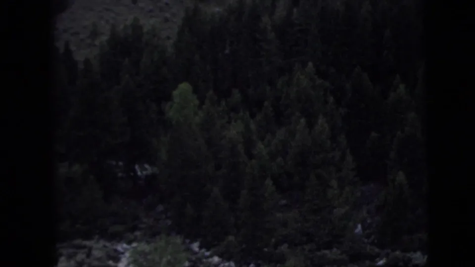 A dark, grainy 8mm view of dense trees or wooded hillside appears at the end of the short travel clip.