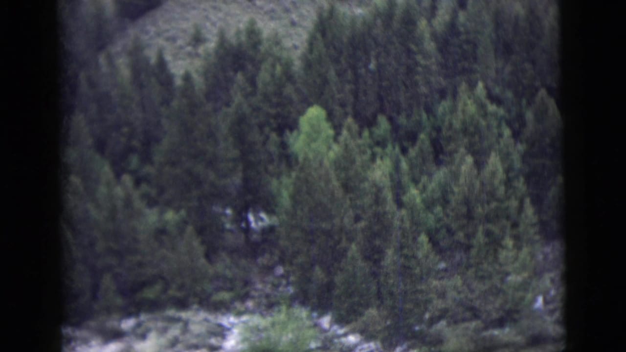 1958 8mm home-movie view of dense evergreen forest on a mountain slope, partly obscured by a dark window frame.