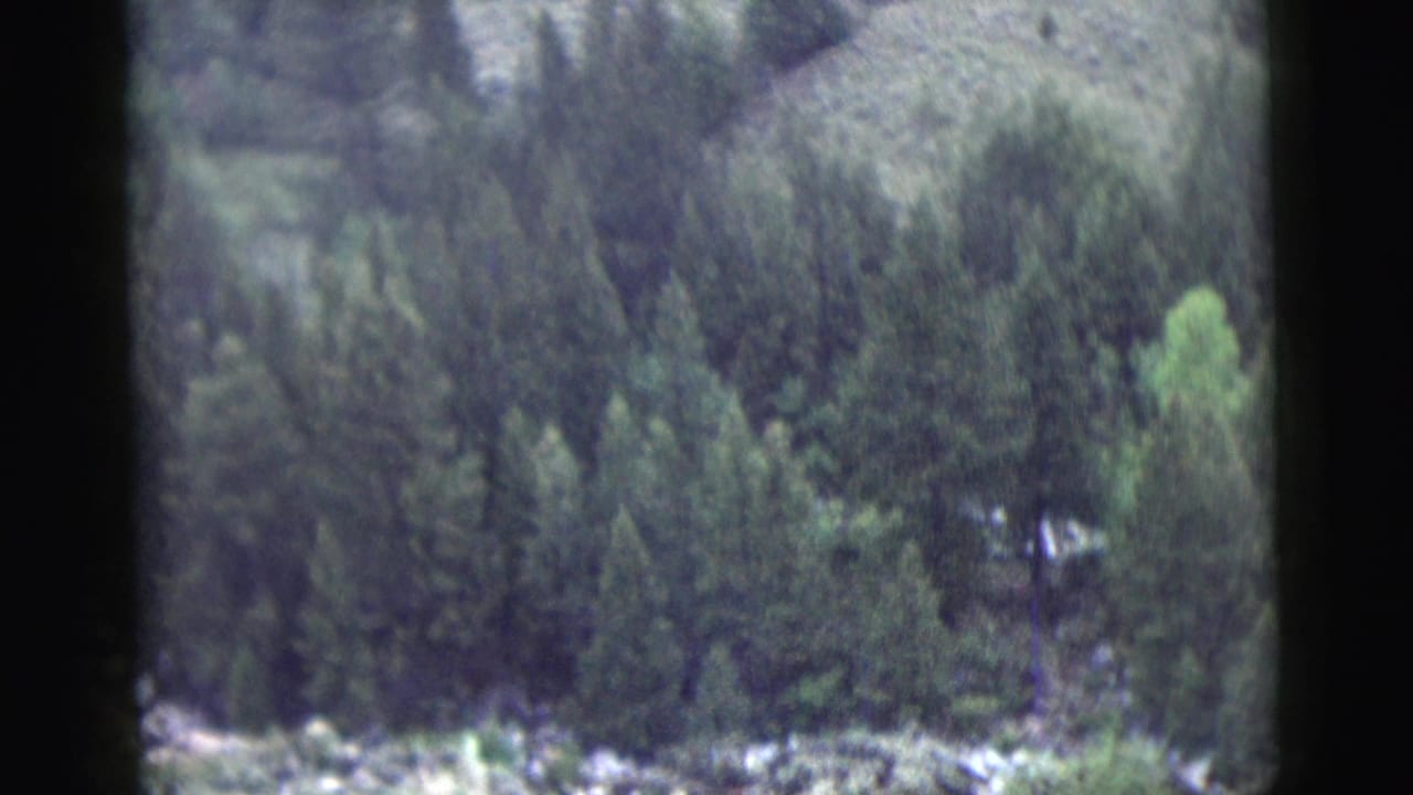 Forested hillside with pale patches viewed through a window frame.