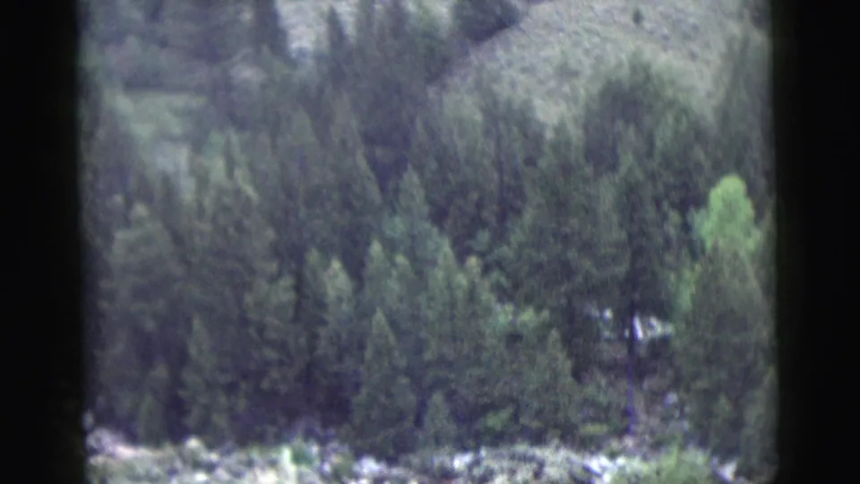 A mid-century 8mm view of a wooded hillside, with pale snow or rock patches visible between trees and dark window framing at the sides.