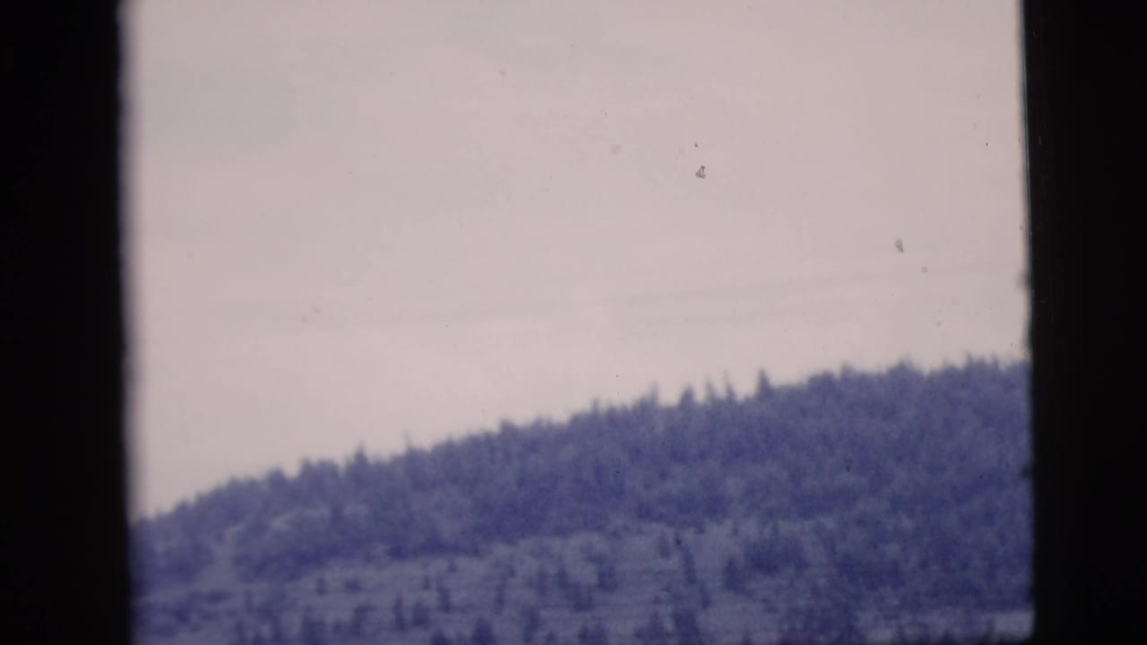 1958 8mm home-movie view of a wooded hillside under a pale sky, seen through dark vertical borders.