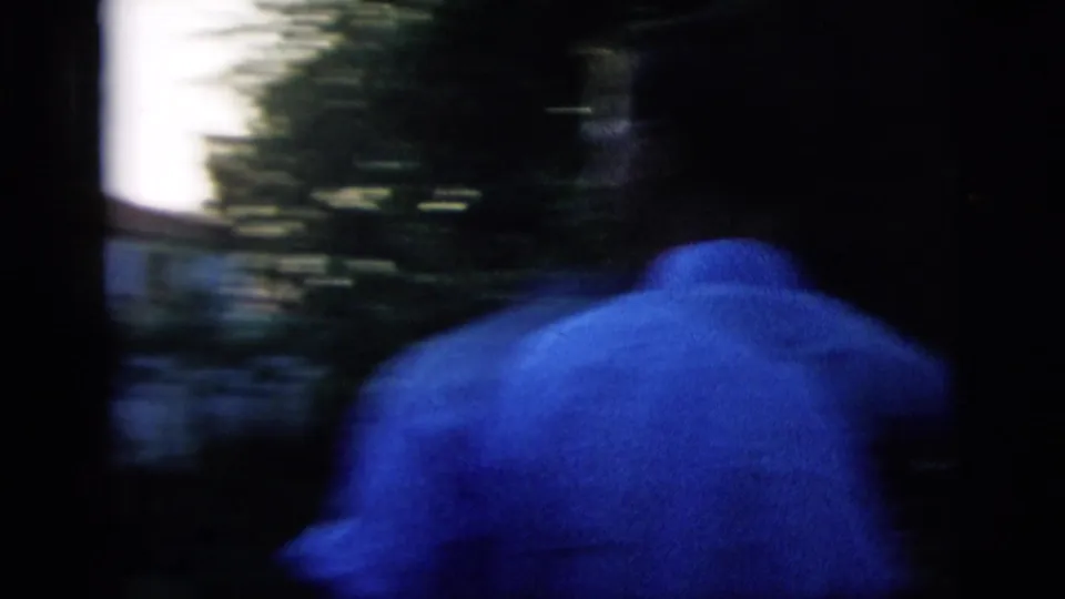 A blurred handheld frame shows the back and shoulder of a man in a blue shirt as the backyard scene shifts past trees and houses.