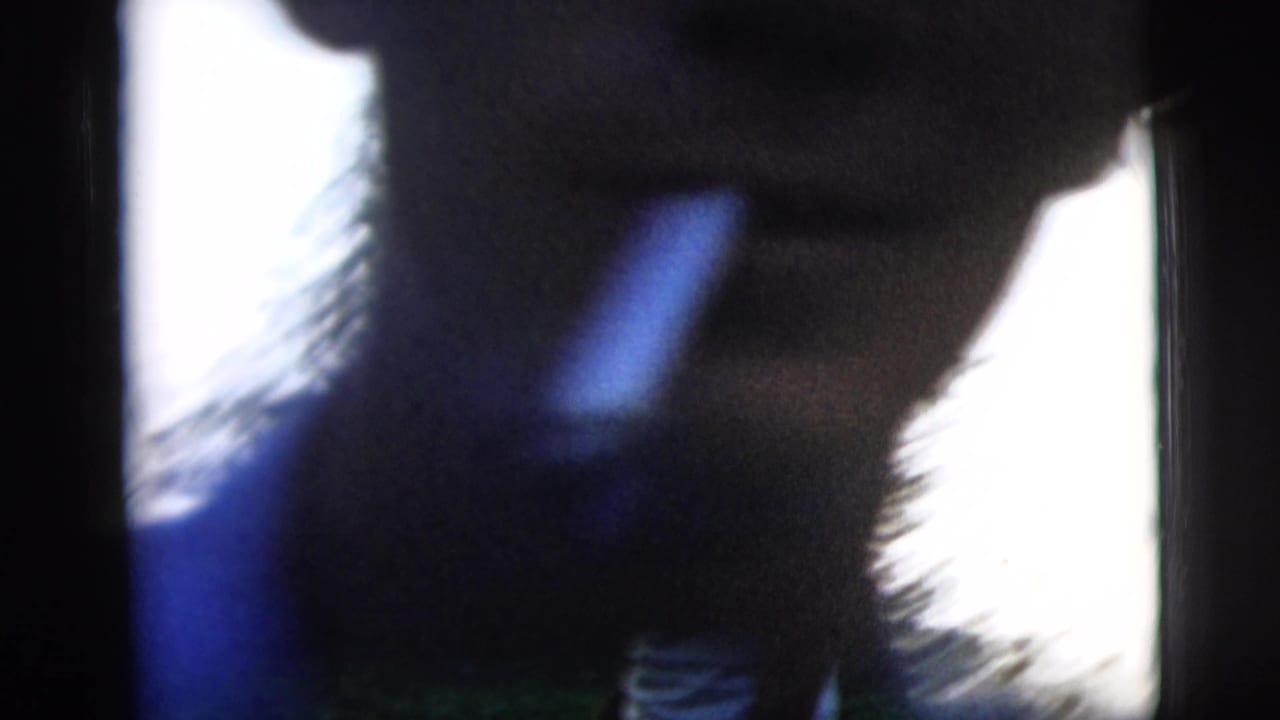 Blurred close view of a person moving near bright outdoor light.
