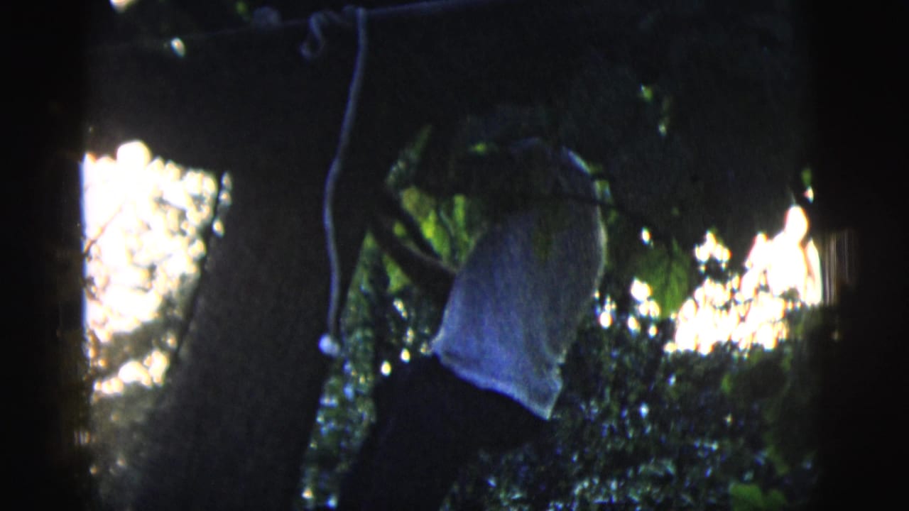 A young man in a light shirt climbs among branches in a shaded wooded area, seen in grainy 1958 8mm footage from New York City metadata.
