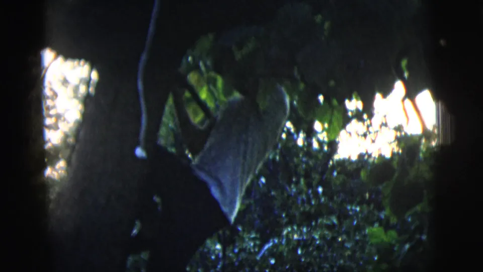 Near the end of the 1958 New York City clip, the young man remains among tree branches, with foliage and bright sky filling the background.