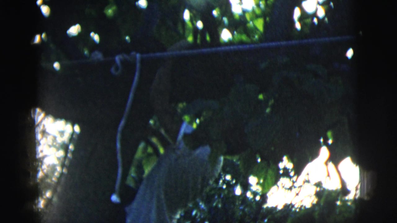 Man in a white T-shirt reaches up toward a tree branch amid dark leaves.