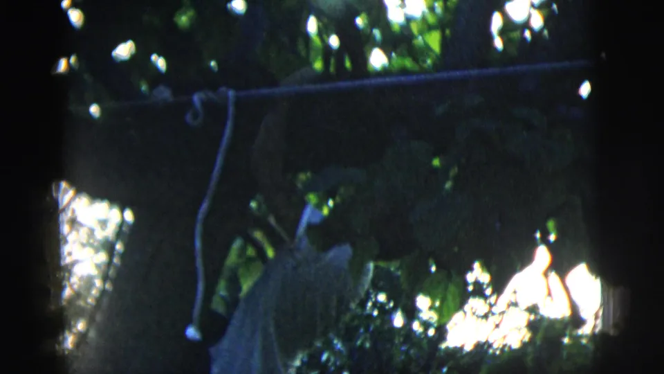 In 1958 New York City home-movie footage, a man in a white T-shirt stands under a leafy tree and reaches toward a branch.