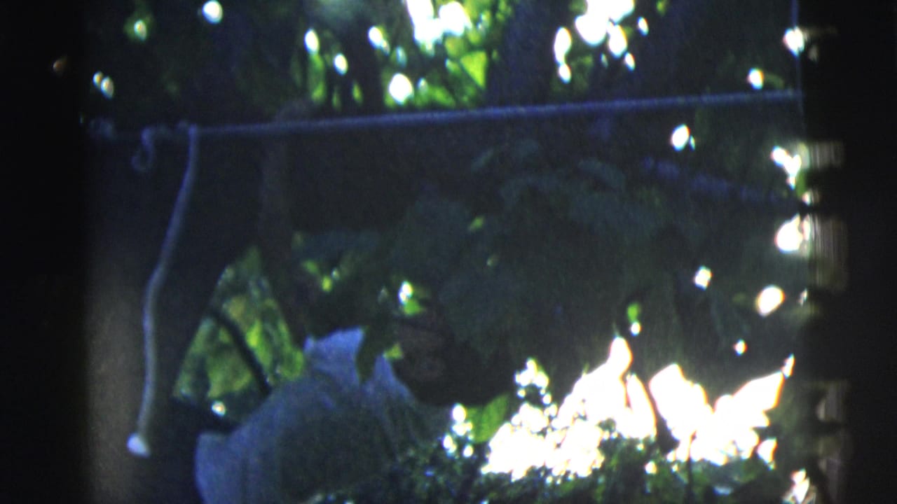 A man in a white T-shirt appears to grip a horizontal tree branch in sun-dappled 1958 New York City home-movie footage.