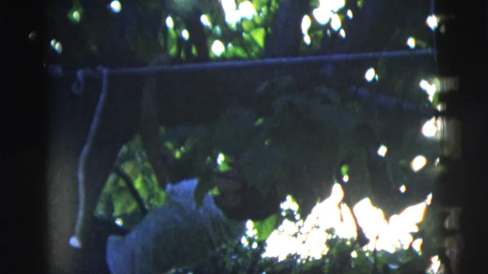 A man in a white T-shirt appears to grip a horizontal tree branch in sun-dappled 1958 New York City home-movie footage.