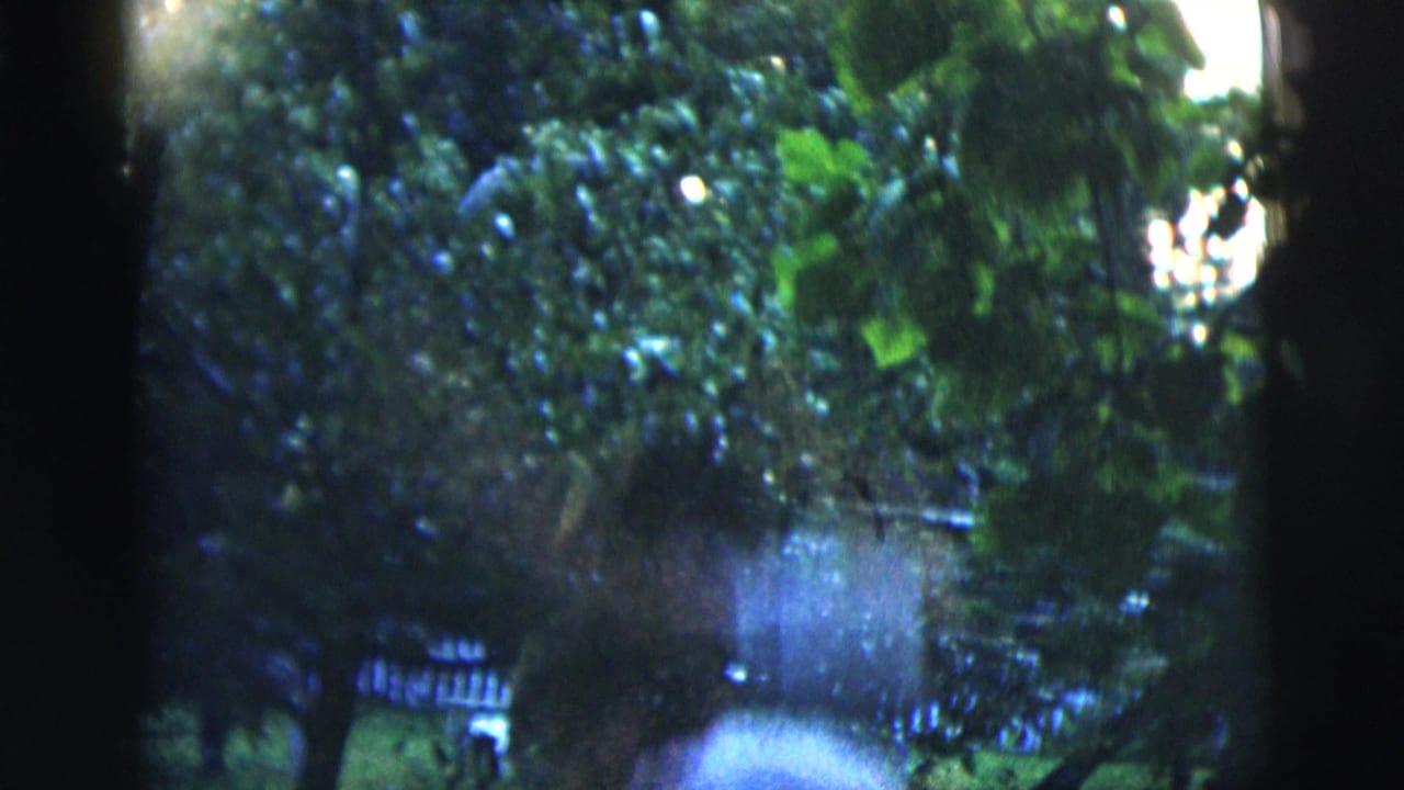 1958 New York City 8mm frame showing a shaded backyard with trees, shrubs, fencing, and part of a white-sided house.