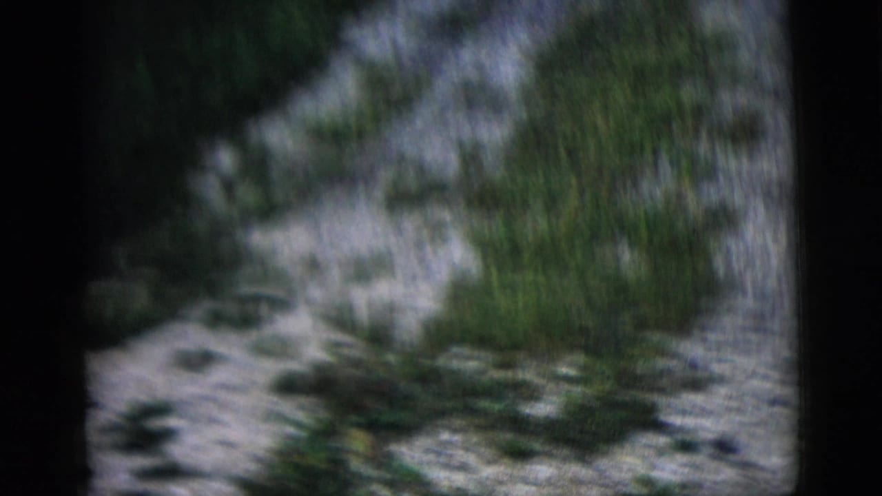 Soft 8mm frame showing vegetation, ground cover, and a light wall or exterior surface during a handheld camera move.
