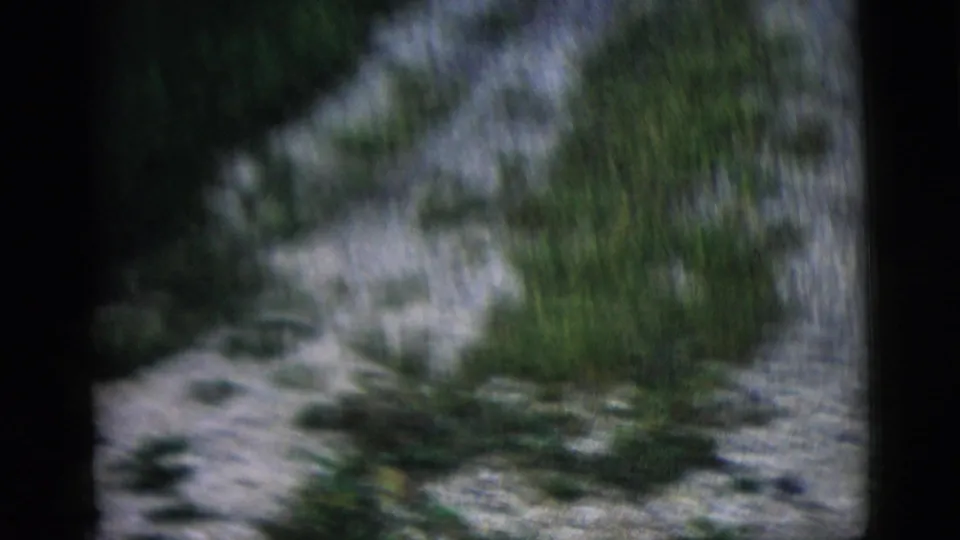 Soft 8mm frame showing vegetation, ground cover, and a light wall or exterior surface during a handheld camera move.