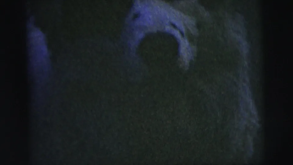 Dim 1958 8mm New York City frame showing a partial, soft-focus view of the white dog near the left side.