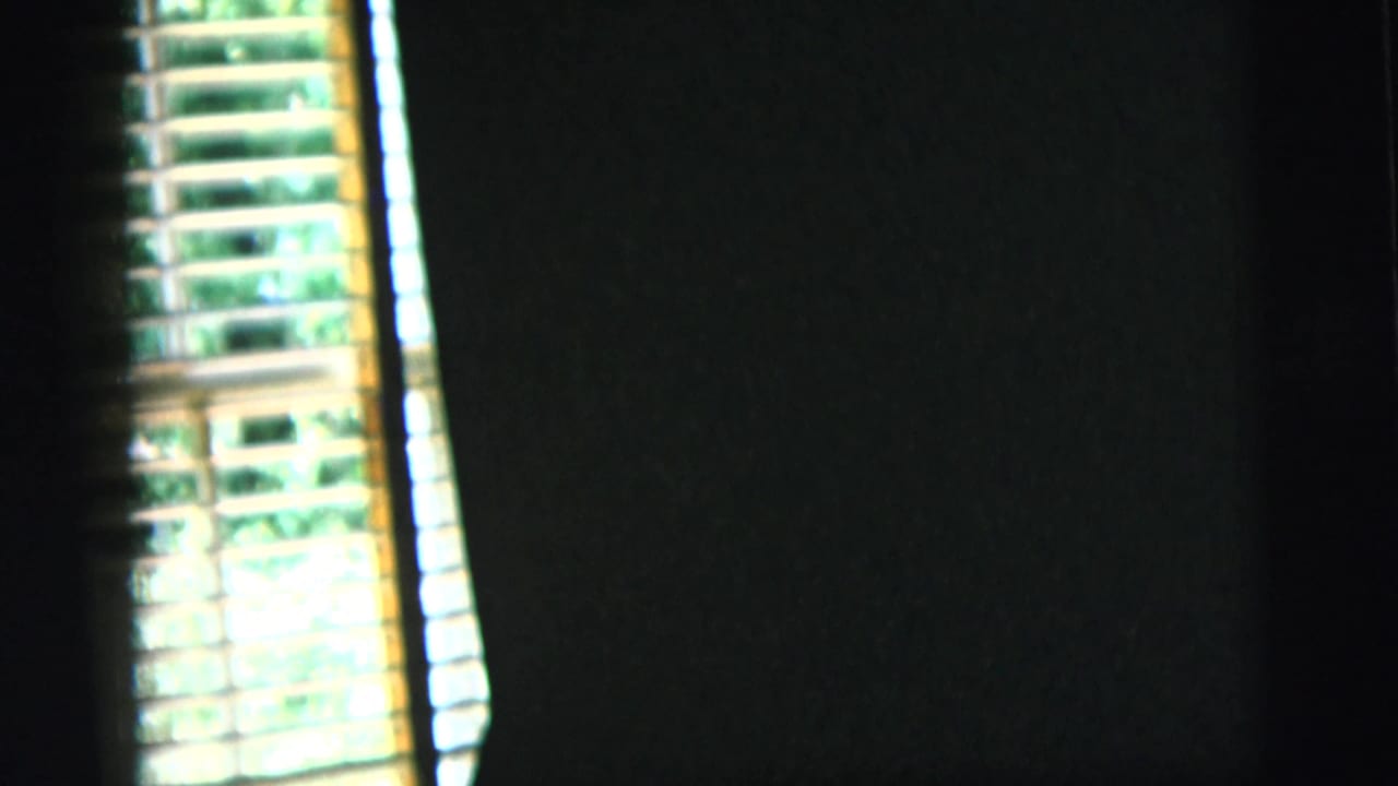 1958 New York City home-movie frame looking past dark window edges toward bright venetian blinds and outdoor greenery.