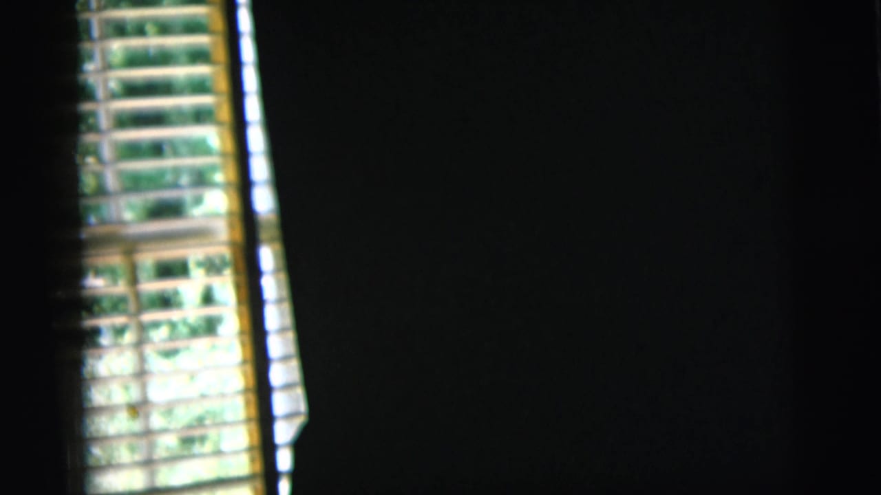 1958 New York City frame with venetian blinds and sunlit foliage seen through a dark, handheld interior composition.