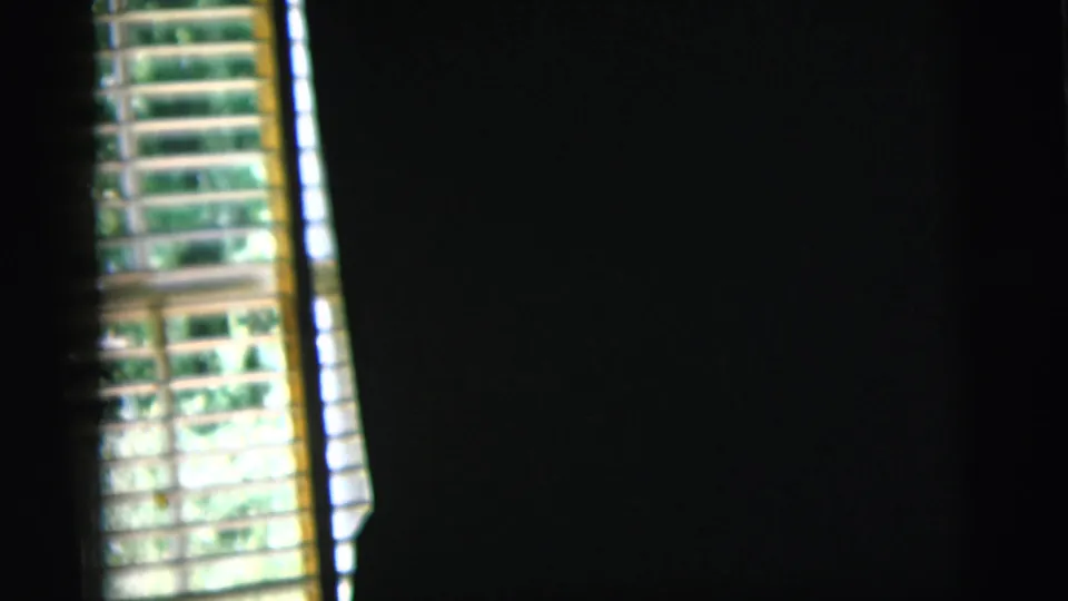 1958 New York City frame with venetian blinds and sunlit foliage seen through a dark, handheld interior composition.