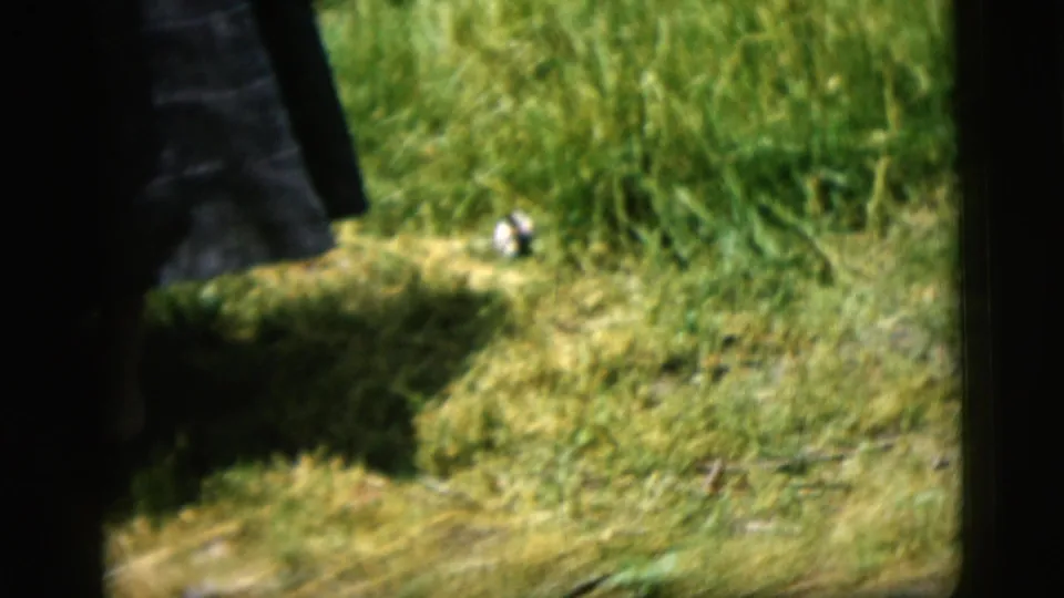 The handheld camera tilts downward, showing the lower part of the woman's dark dress, tall grass, and a small object on the lawn.
