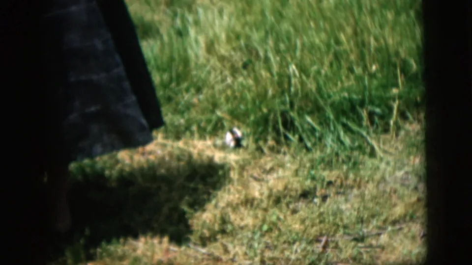The final frame emphasizes the garden lawn and tall grass, with only part of the woman's dark dress visible along the left edge.