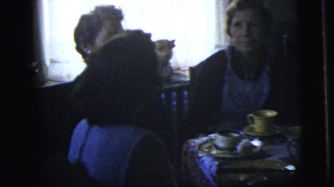 Adults seated around a dim table with cups and food near a curtained window.