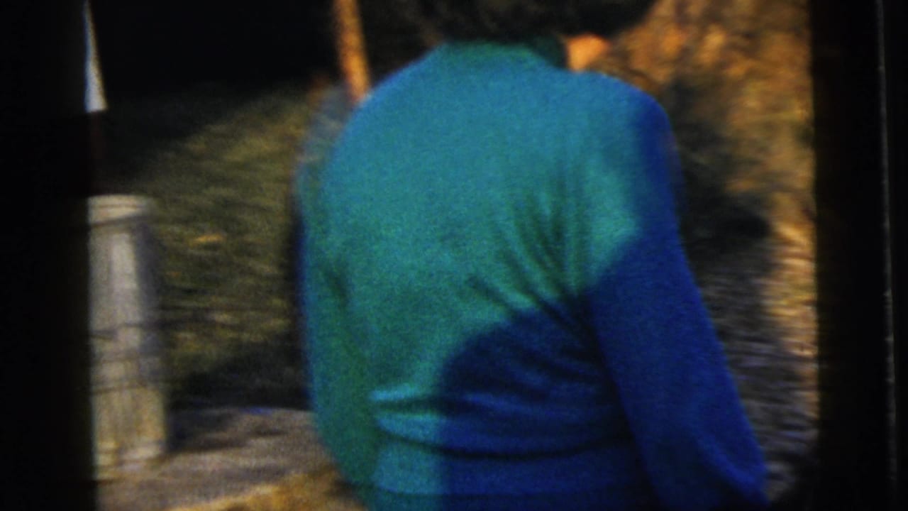 Woman seen from behind in a green and blue dress walking outdoors near trees.