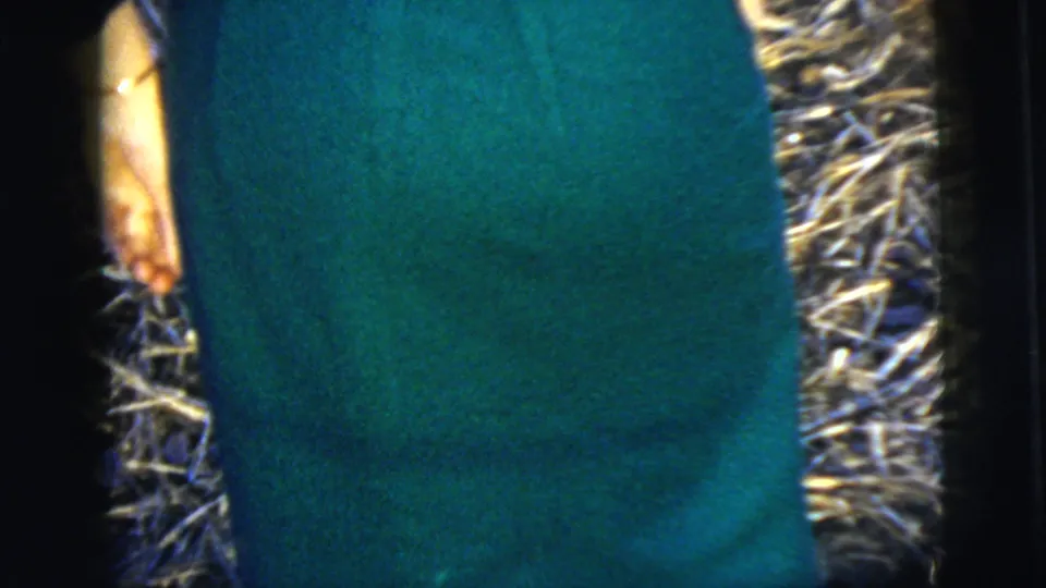 Close home-movie view of a woman in a teal dress from behind, her arm and skirt visible against a textured outdoor ground surface.