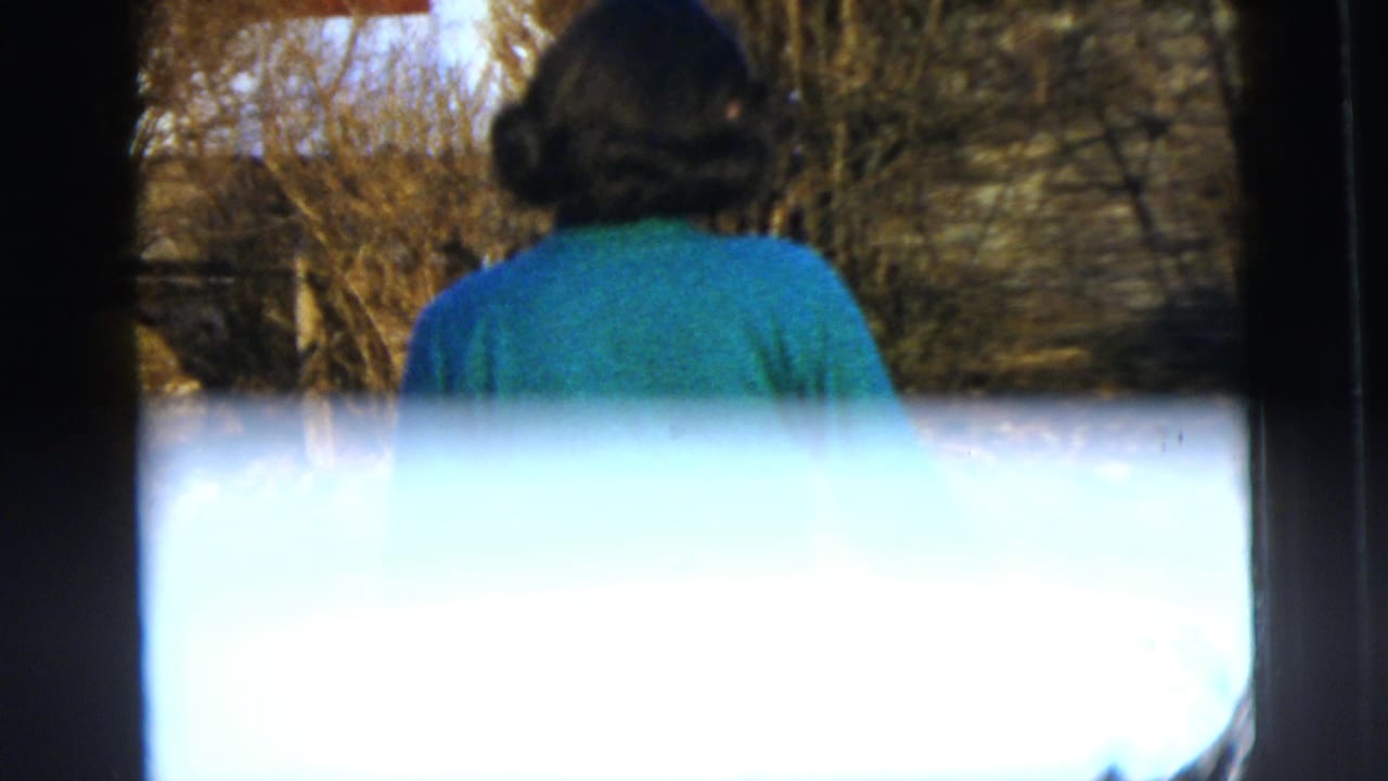 The woman is seen from behind in a green dress, standing or walking near bare trees in the New York City home movie.