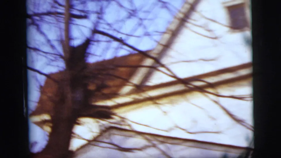 Handheld 8mm frame showing blurred leafless branches and sky during a quick camera movement.