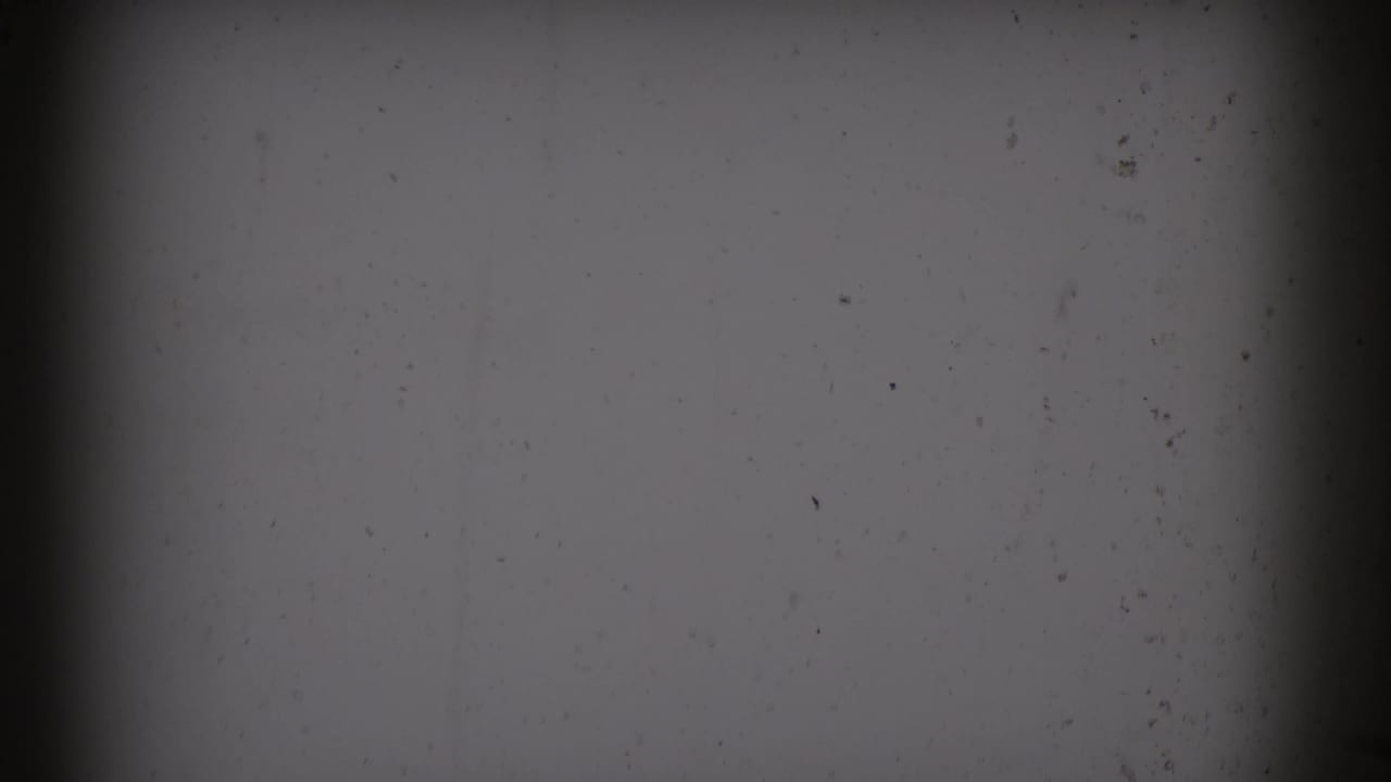 Mostly blank, dim film frame with dark vertical borders and dust marks.