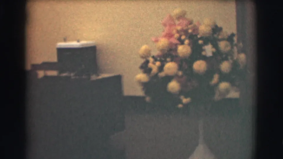 1959 Saint Louis office interior with large flowers, dark desk furniture, and a small water cooler in soft 8mm color.