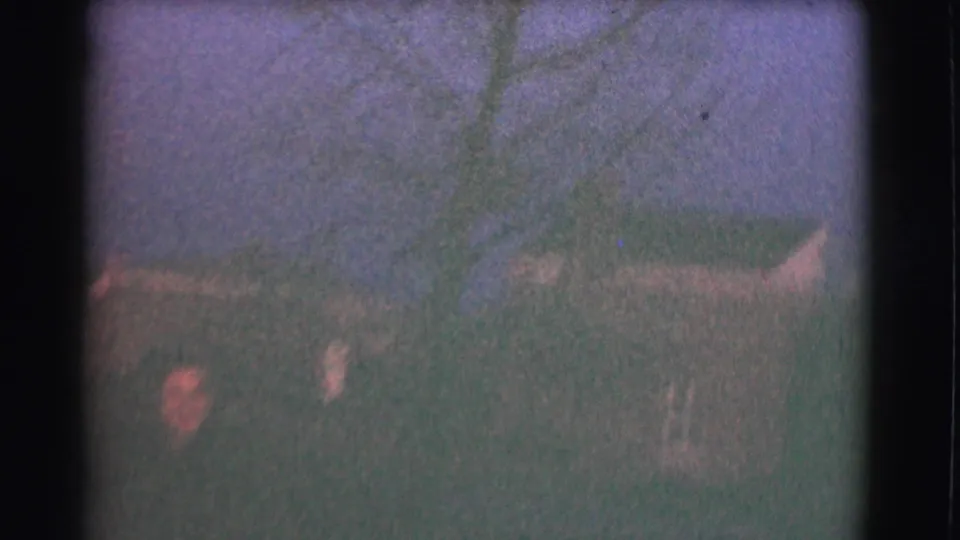 Wide Saint Louis residential yard view from the 1959 home movie, with a standing adult figure, trees, and neighboring houses.