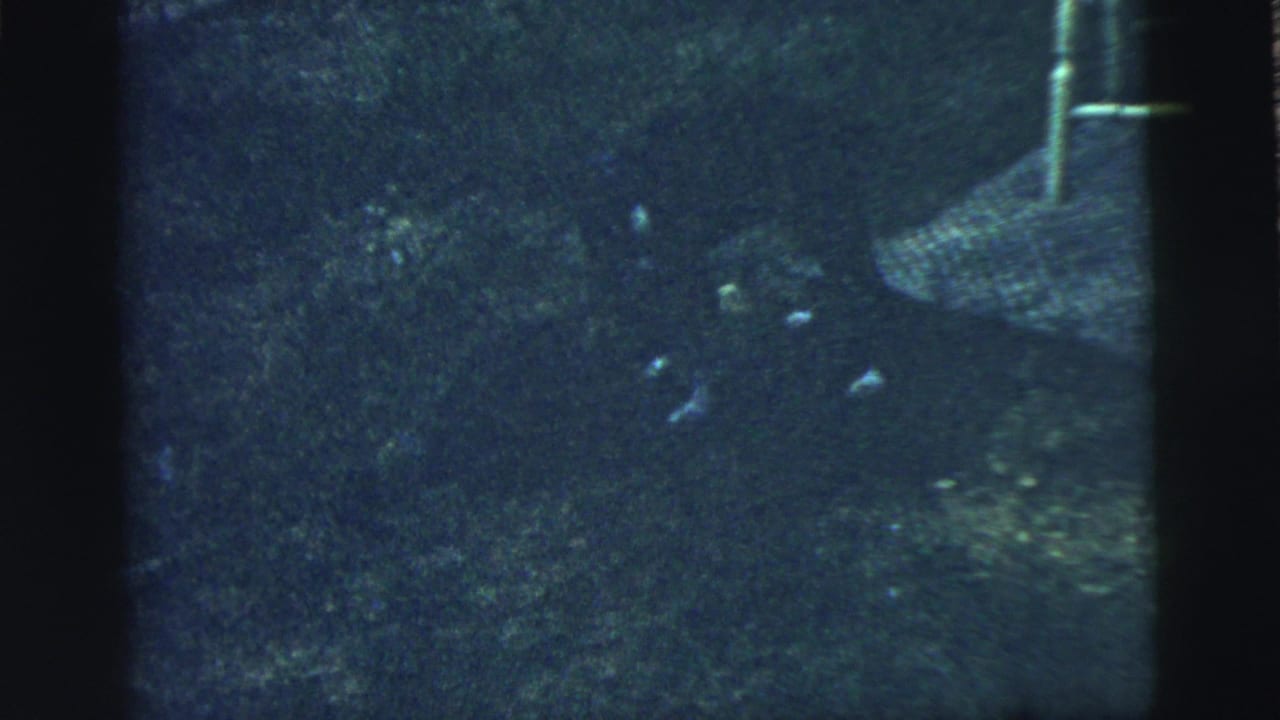 Dim outdoor grass with a roof or structural edge at the upper right and small animal shapes below.