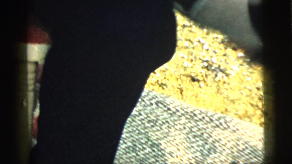 The frame shifts downward to the young man's lower body as he bends near sunlit grass or ground cover in the 1961 Camden footage.