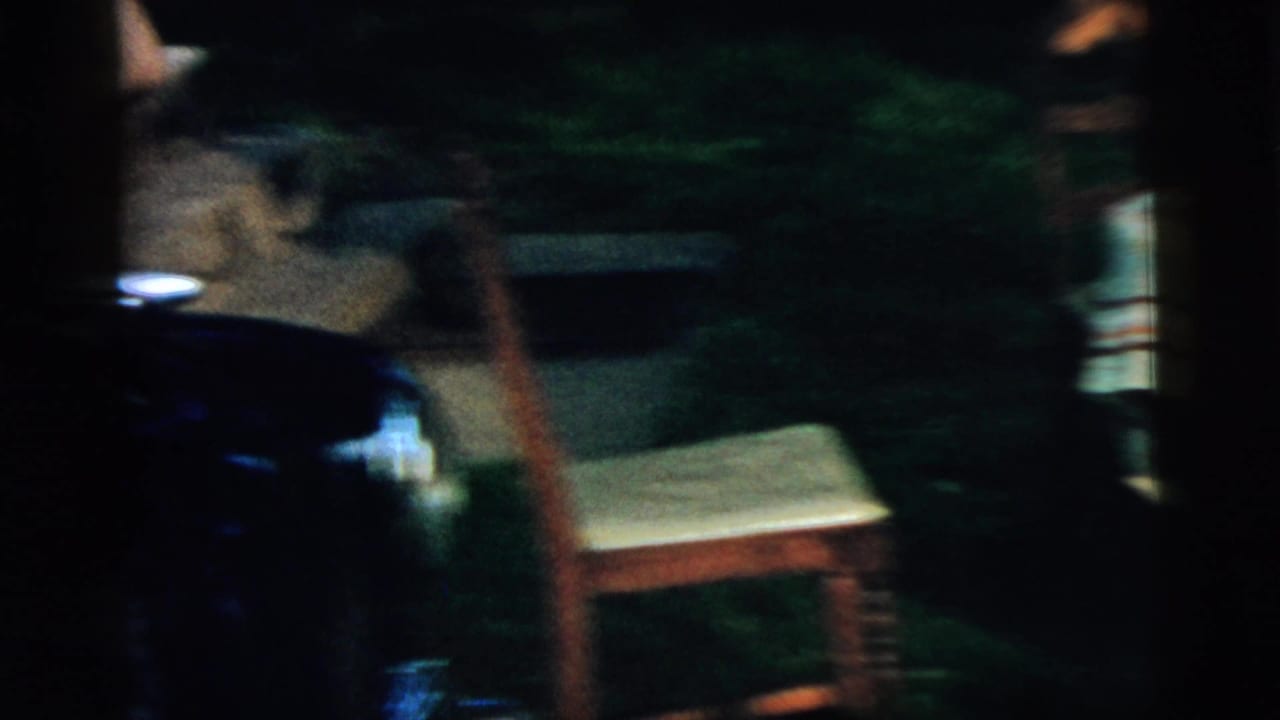 Dark, blurred outdoor view with greenery and part of a car at the edge of the frame.