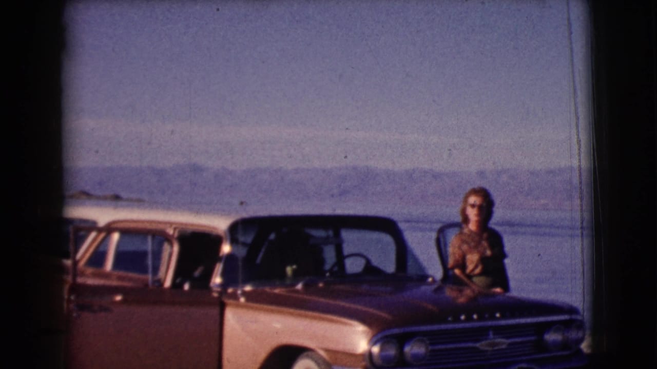 Woman in sunglasses standing beside a station wagon at a lakeshore.