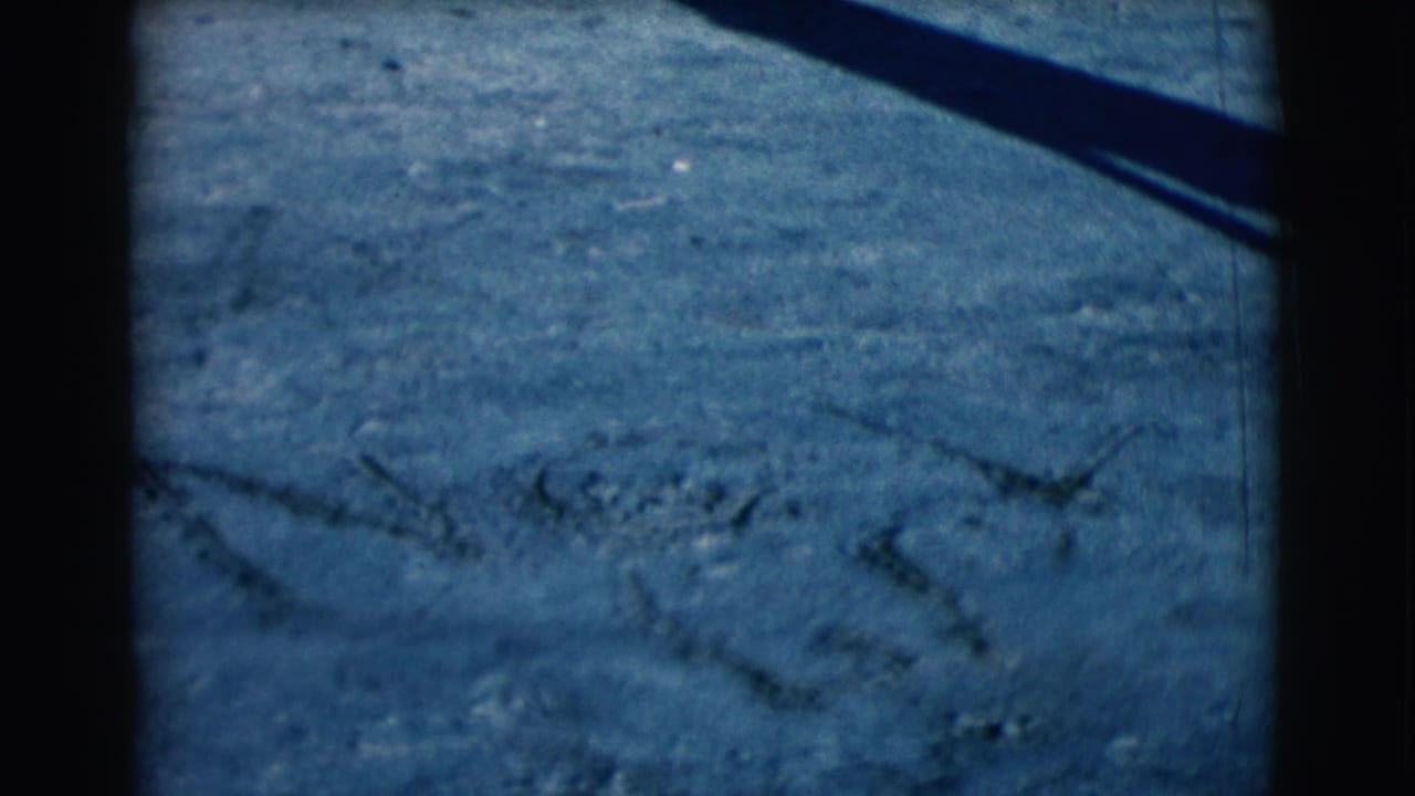 Sandy ground with rough lines and markings near a dark shadow.