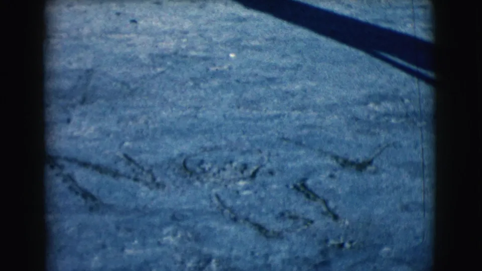 A close 8mm view shows sandy ground with scattered lines, grain, and a strong blue cast.